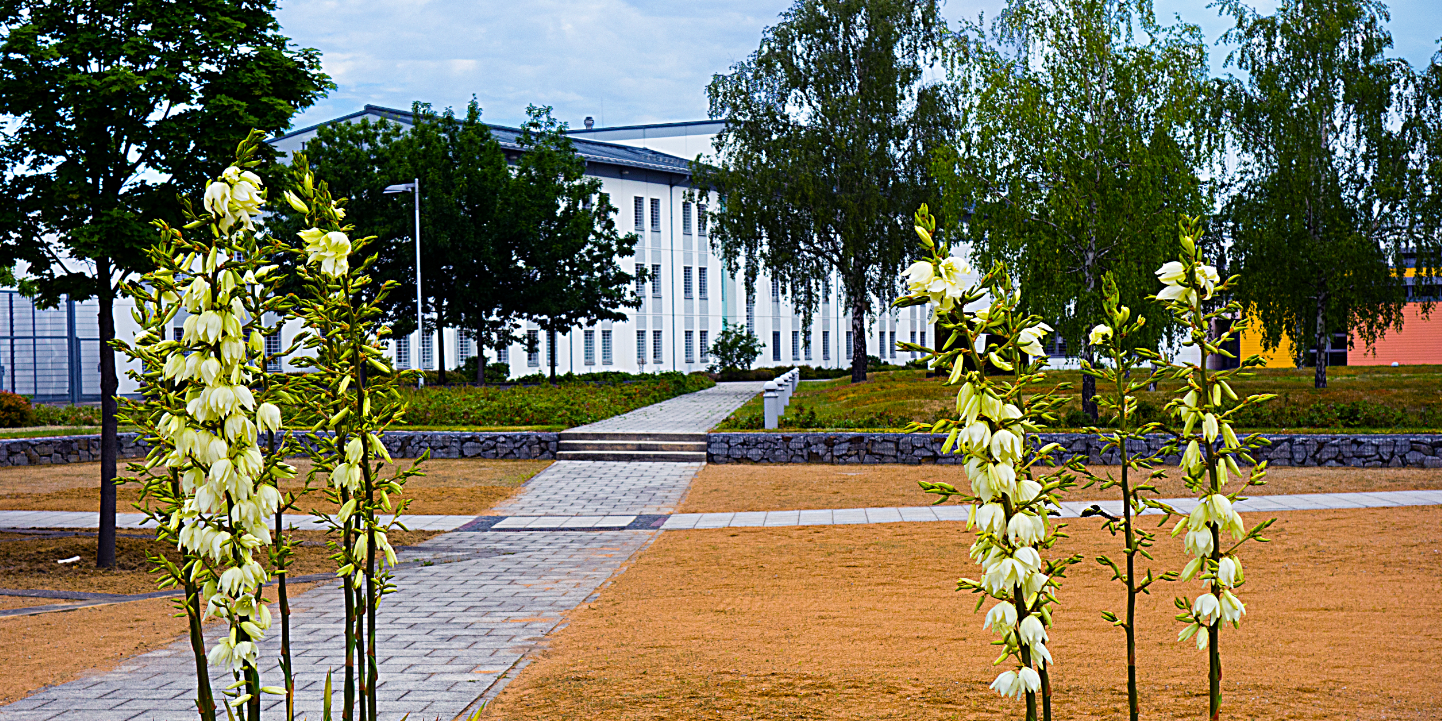 Justizvollzugsanstalt Cottbus-Dissenchen