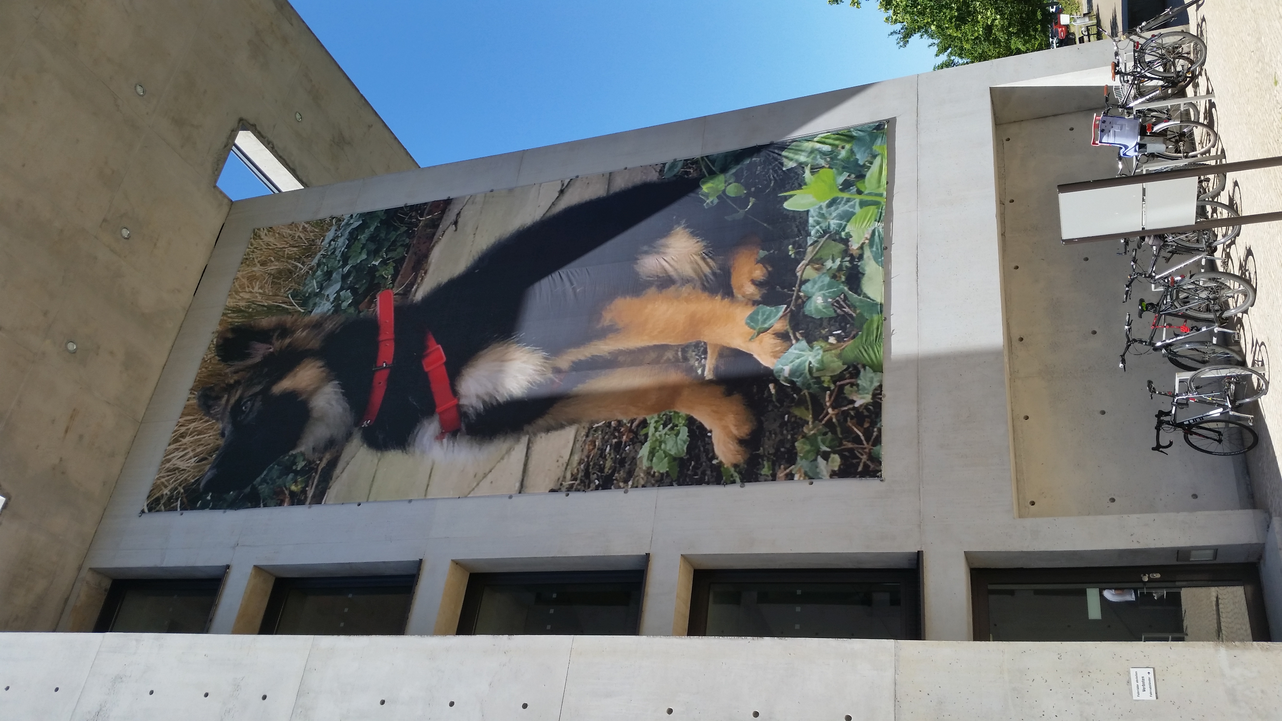 Kunstprojekt am Gebäude - Land- und Amtsgericht Frankfurt (Oder) 