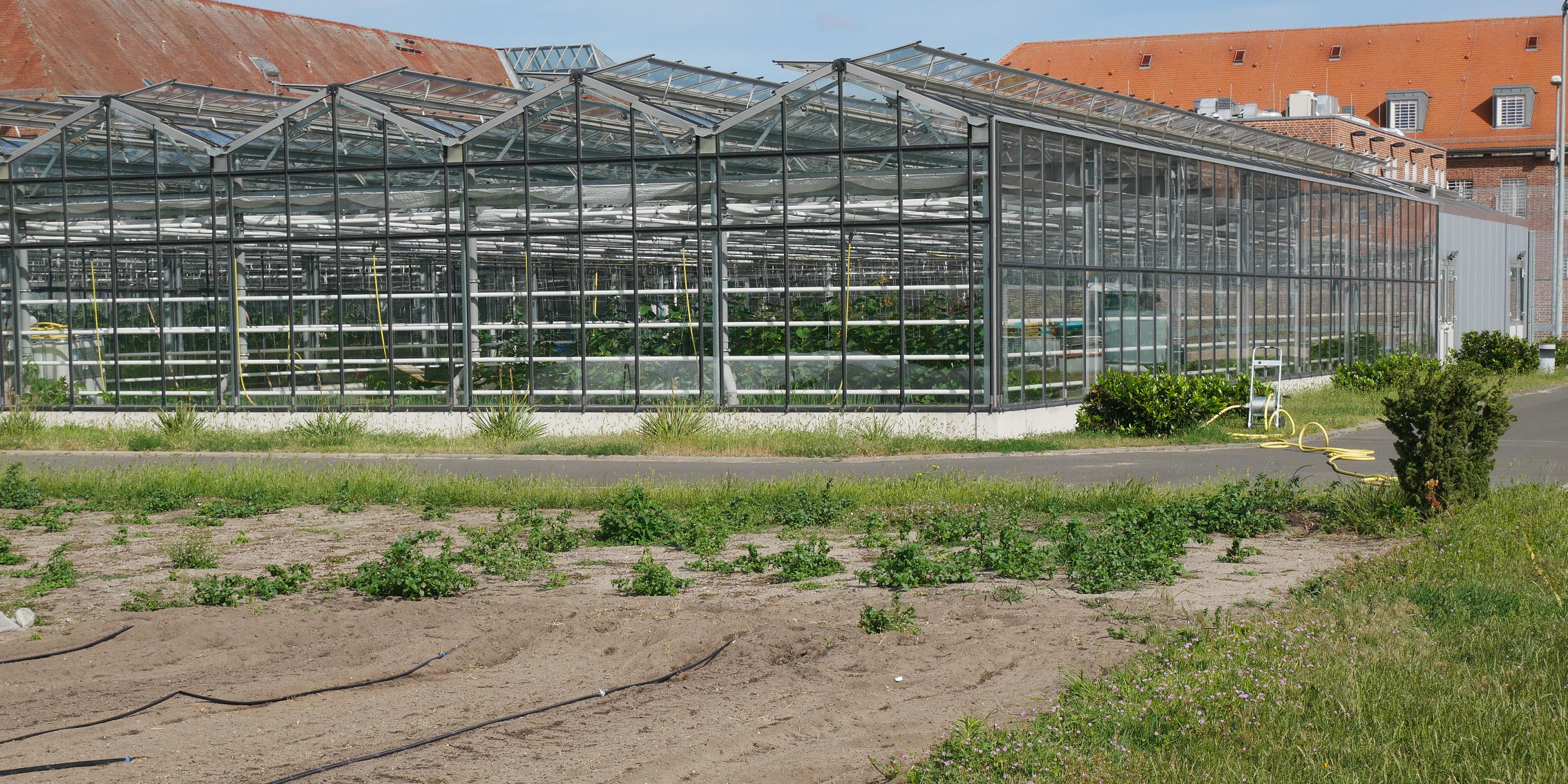 Gärtnerei der JVA Brandenburg an der Havel