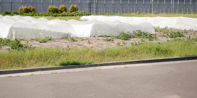 Gärtnerei der JVA Brandenburg an der Havel