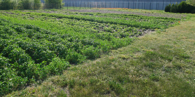 Gärtnerei der JVA Brandenburg an der Havel