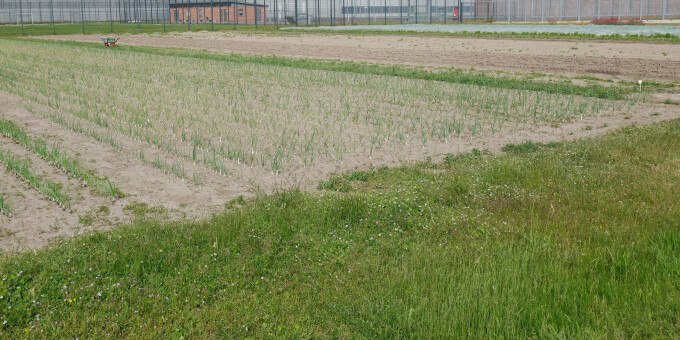 Gärtnerei der JVA Brandenburg an der Havel