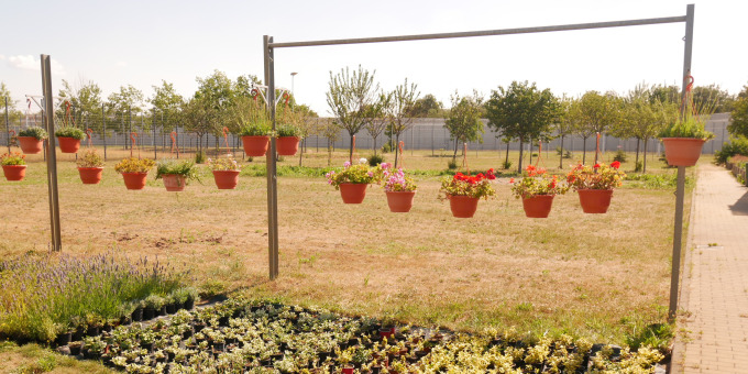 Gärtnerei der JVA Cottbus-Dissenchen