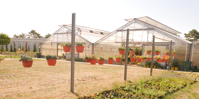 Gärtnerei der JVA Cottbus-Dissenchen