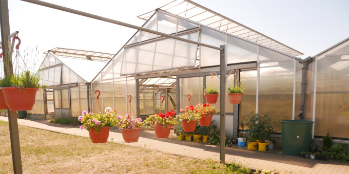 Gärtnerei der JVA Cottbus-Dissenchen