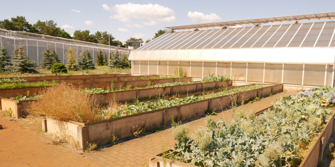 Gärtnerei der JVA Cottbus-Dissenchen
