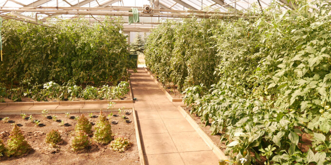 Gärtnerei der JVA Cottbus-Dissenchen