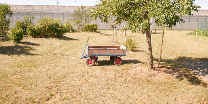 Gärtnerei der JVA Luckau-Duben