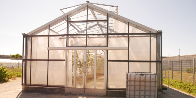 Gärtnerei der JVA Luckau-Duben