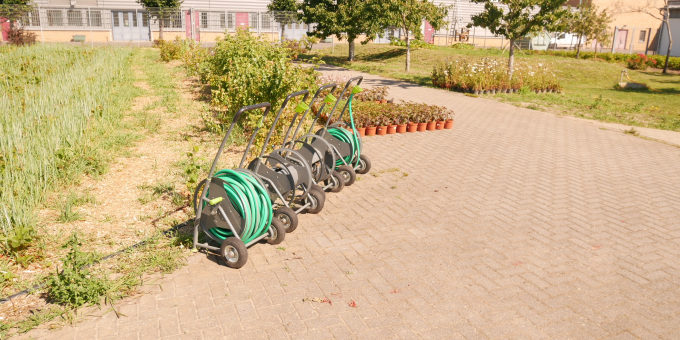Gärtnerei der JVA Luckau-Duben
