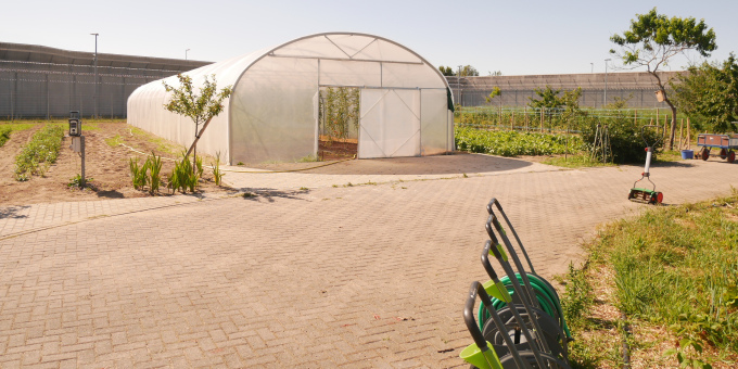 Gärtnerei der JVA Luckau-Duben