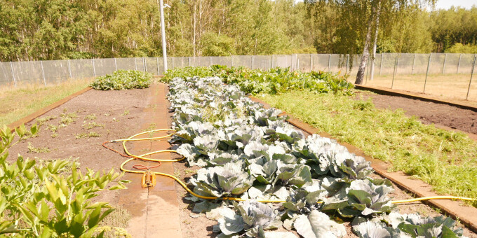 Gärtnerei der JVA Luckau-Duben, Außenstelle Spremberg