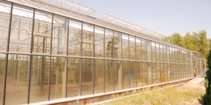 Gärtnerei der JVA Luckau-Duben, Außenstelle Spremberg