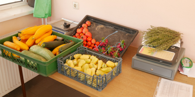 Gemüse - Produkte der Gärtnerei der JVa Luckau-Duben, Außenstelle Spremberg