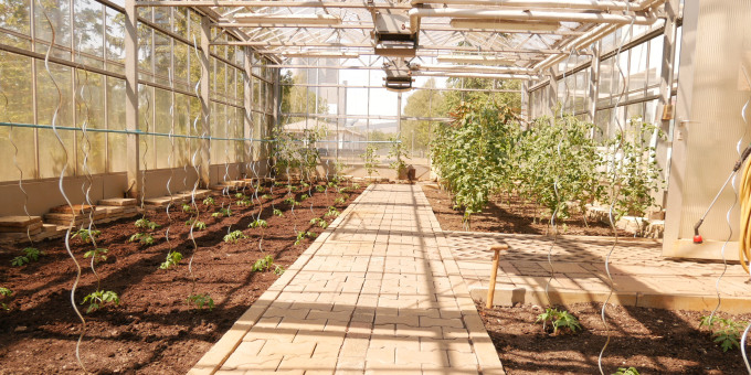 Gärtnerei der JVA Luckau-Duben, Außenstelle Spremberg