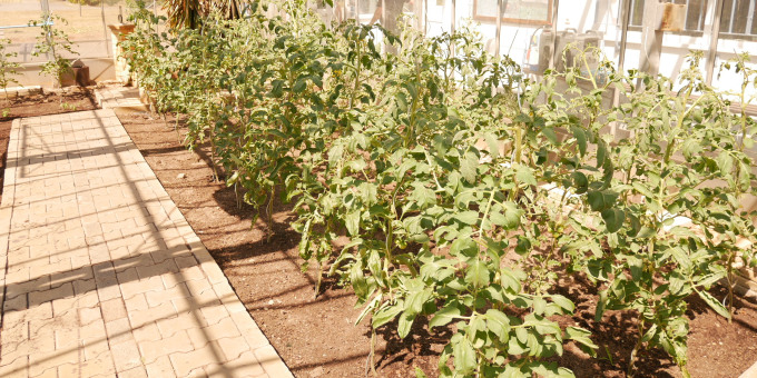 Gärtnerei der JVA Luckau-Duben, Außenstelle Spremberg