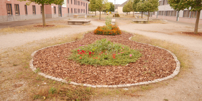 Berufsvorbereitende Qualifizierung (BvB) - JVA Nord-Brandenburg, Teilanstalt Wriezen